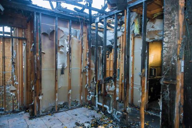 Professional Smoke Damage Removal technician working in Bristol, FL
