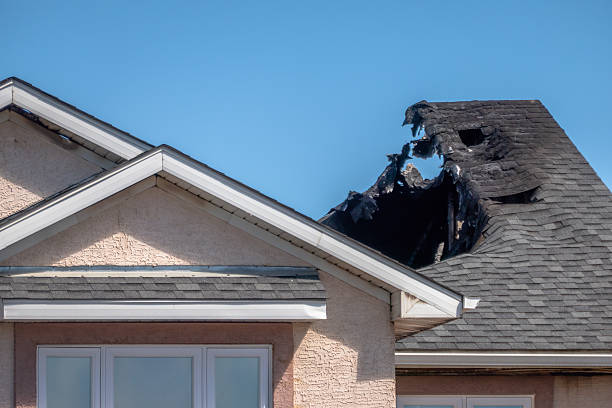 Top rated local Smoke Damage Removal specialists in Bristol, FL